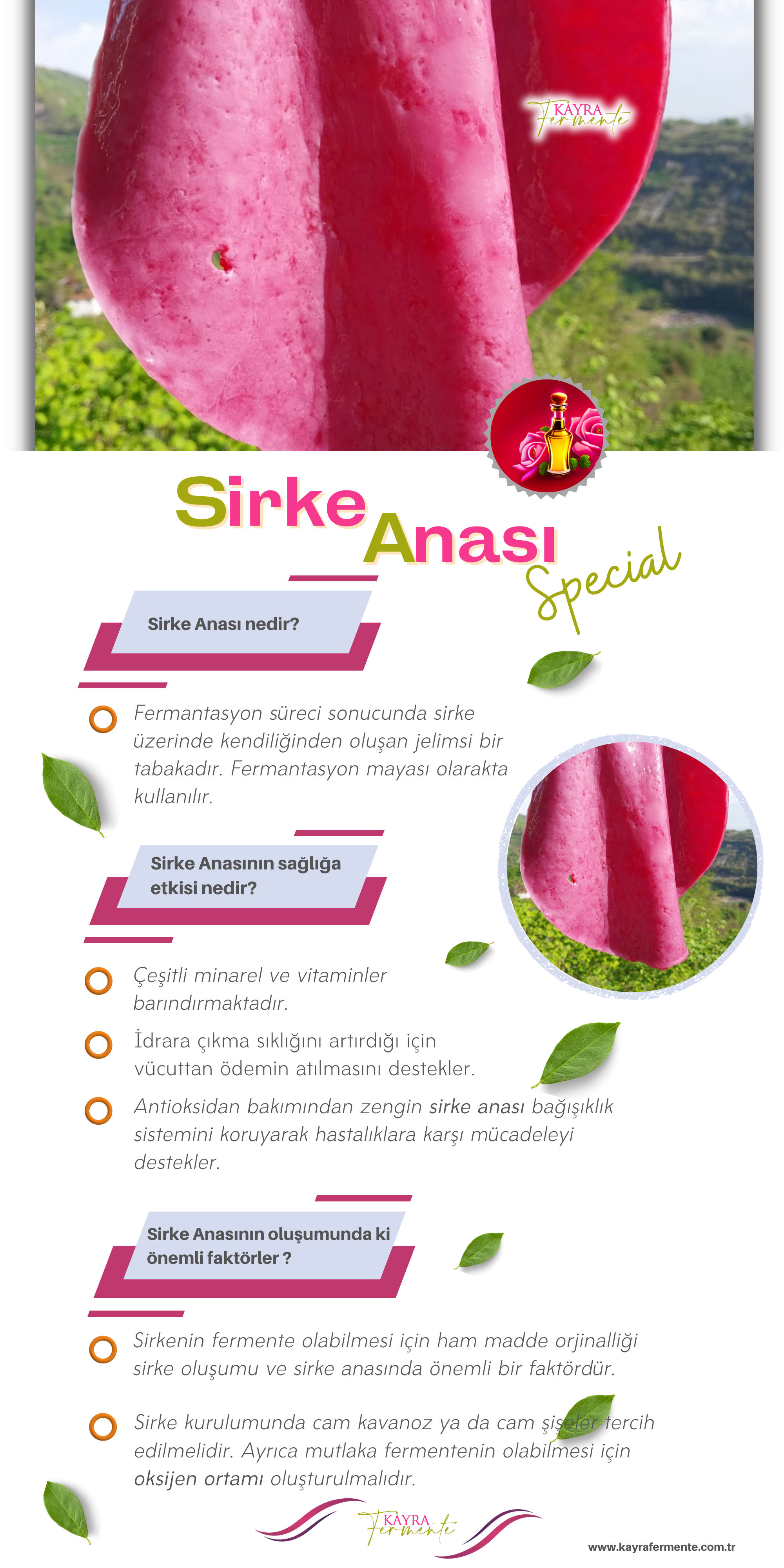 Special_Sirke_Anası3