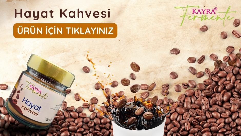 Kayra Fermente - 1