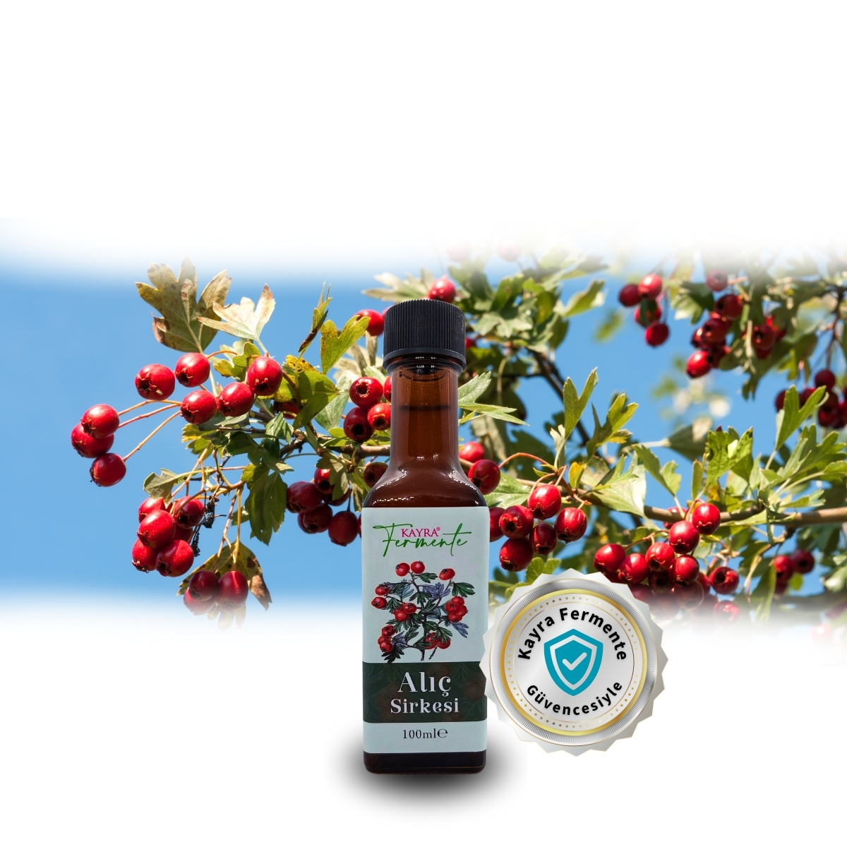 Alıç Sirkesi 100 ML (Seyahat Boy) Alıç Sirkesi 100 ML (Seyahat Boy)