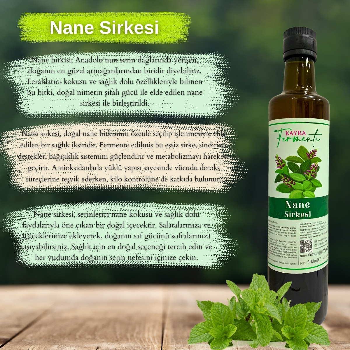 Nane Sirkesi 500 ML