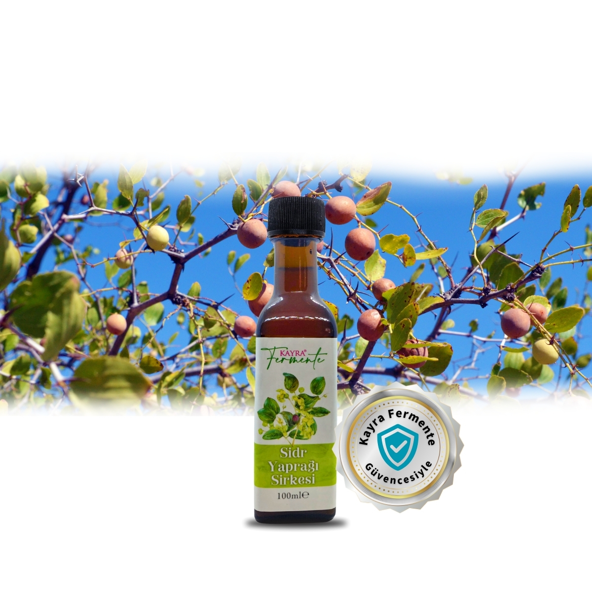 Sidr Yaprağı Sirkesi 100 ML (Seyahat Boy) Sidr Yaprağı Sirkesi 100 ML (Seyahat Boy)