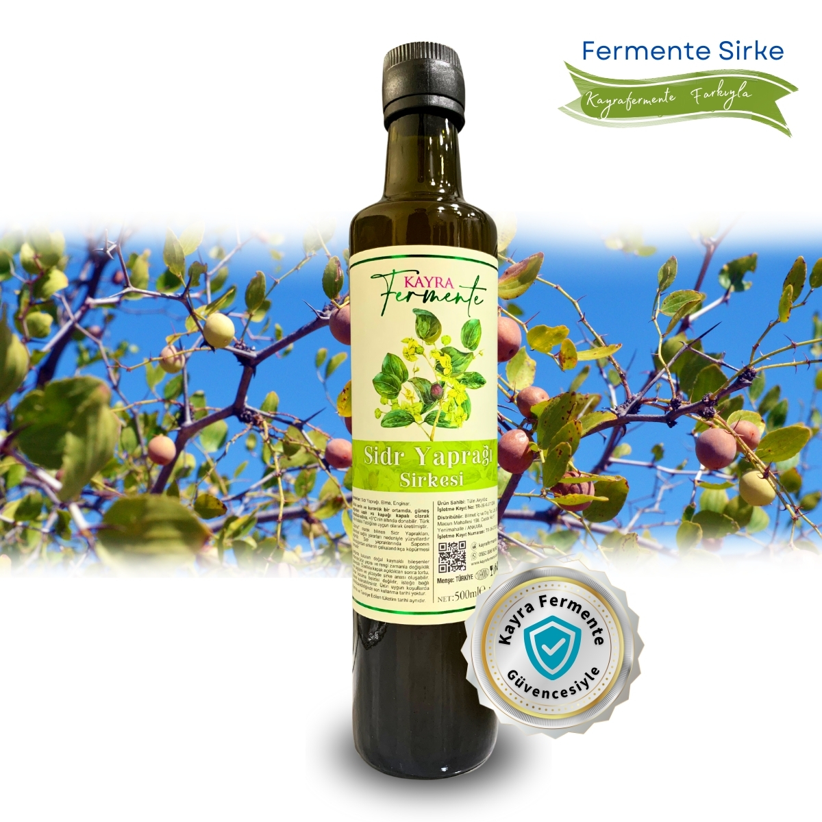 Sidr Yaprağı Sirkesi 500 ML