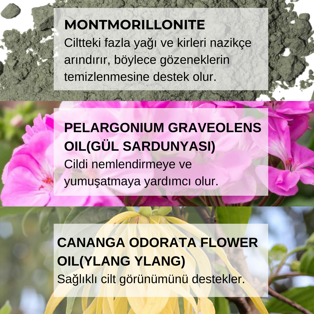 Yeşil Kil Maskesi 50 ML